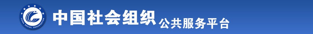 挨肏视频全国社会组织信息查询